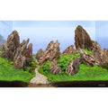 LANDEN Dark SEIRYU Stones Natural Rocks(36lbs 3~11 inches11pcs) for Aquarium Paludarium Terrariums Landscaping Rocks Decorative Aquarium Rocks