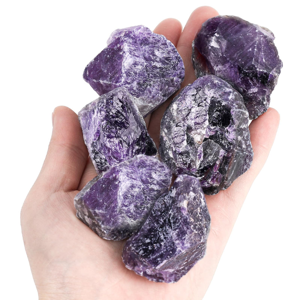 6PCS Amethysts with Jar Natural Rough Stones Crystal Large Raw Crystals Bulk Healing Gemstones for Reiki Healing Tumbling Fountain Rocks