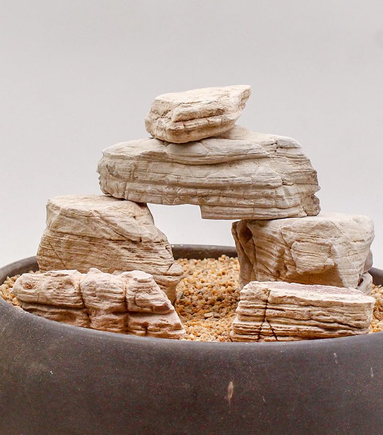 YZHZOM 11lb nature small Thousand Layer Stone Aquarium Rocks Aquarium Stones for Fish Tank aquascaping rocks