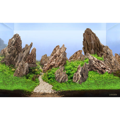 LANDEN Dark SEIRYU Stones Natural Rocks(36lbs 3~11 inches11pcs) for Aquarium Paludarium Terrariums Landscaping Rocks Decorative Aquarium Rocks